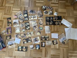 Riesige kafferahmdeckelsammlung