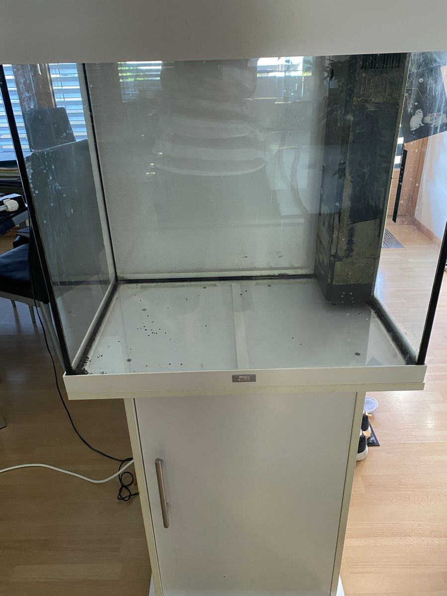 Juwel Acquari: Aquarium Juwel Lido 120 – Usato da Kaisten venduto da GerhA 1