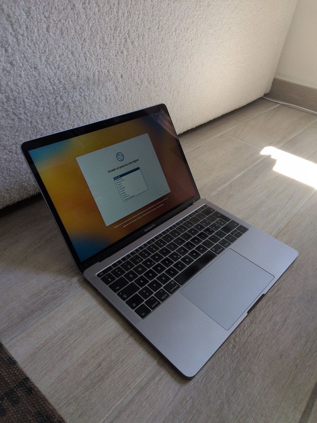 Apple Notebook: Macbook pro 13'' 2017 (Batterie Neuve) – Usato da Pully venduto da max_t56z