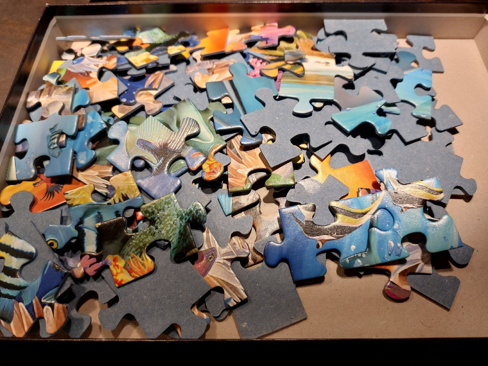 Ravensburger Puzzles: Ravensburger Puzzle 6+ Delfine 100 Teile – Gebraucht aus Effretikon von swobdo 2