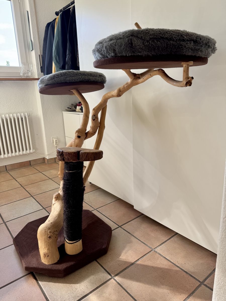 Arbres à chats: Katzenbaum – D'occasion à Samstagern par adegna 3