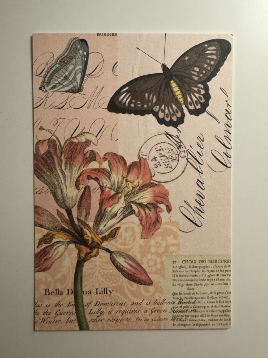 Cartes postales: Postcard - Retro  – Neuf avec emballage d'origine à Sins par sum_lv6d