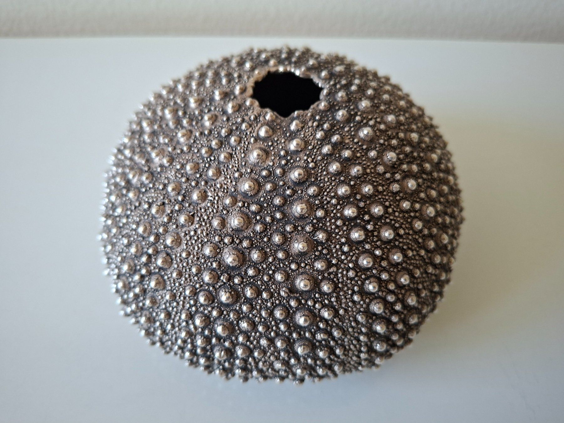 Alle Dekorationen: echtes Seeigel-Skelett  mit Silberüberzug – Gebraucht aus Zürich von Daniel517 6