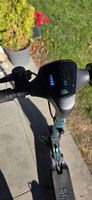 SoFlow E-Scooter  Guter Zustand (1 Jahr Garantie) 