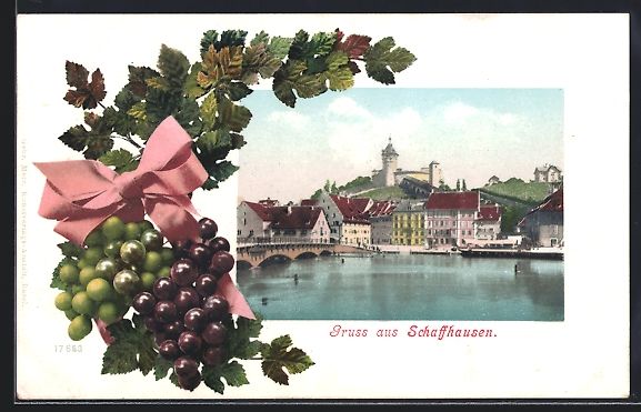 Cartoline postali: Schaffhausen, Uferpartie mit Schloss, We – Usato da Berlin venduto da bartko-reher