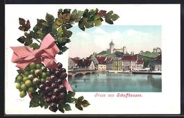 Schaffhausen, Uferpartie mit Schloss, We