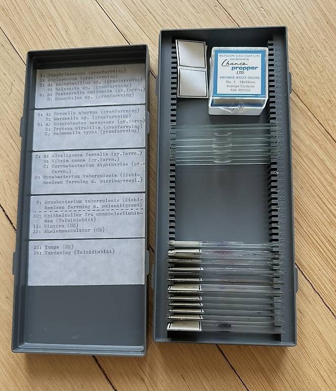 Mikroskopie: Optima L-157 Mikroskop – Gebraucht aus Zürich von TheWickerman 3