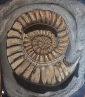 Eternal spiral - Original Pastellgemälde 50x70