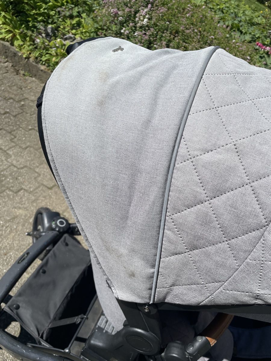 Hartan Carrozzine: Kinderwagen Hartan Racer GTX – Usato da Bischofszell venduto da jae_xkw2 8