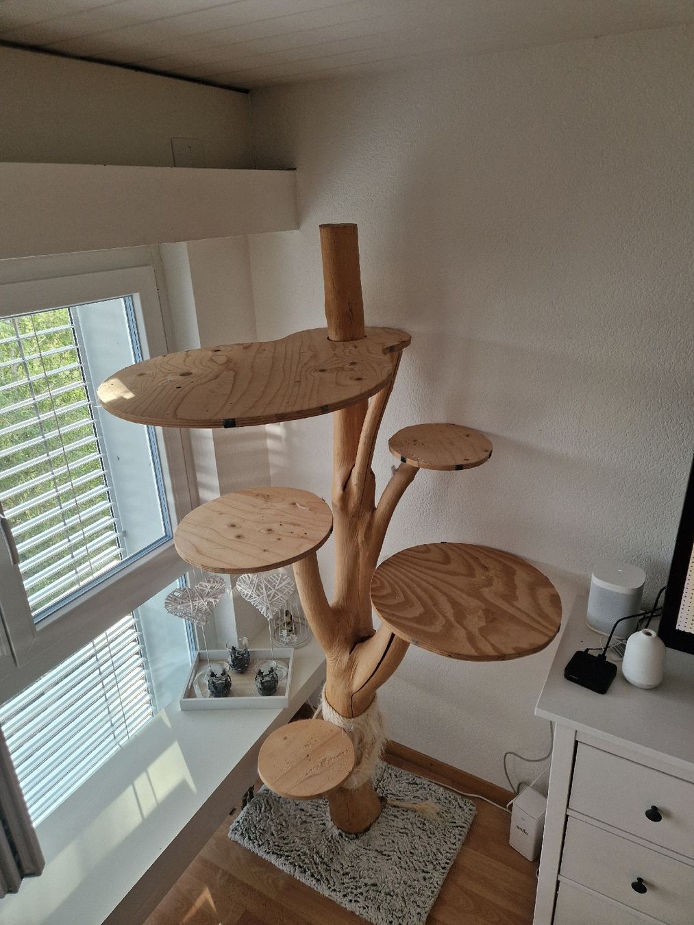 Katzenbaum - Kratzbaum: Naturstamm Kratzbaum – Gebraucht aus Ormalingen von CartierRoyal 1