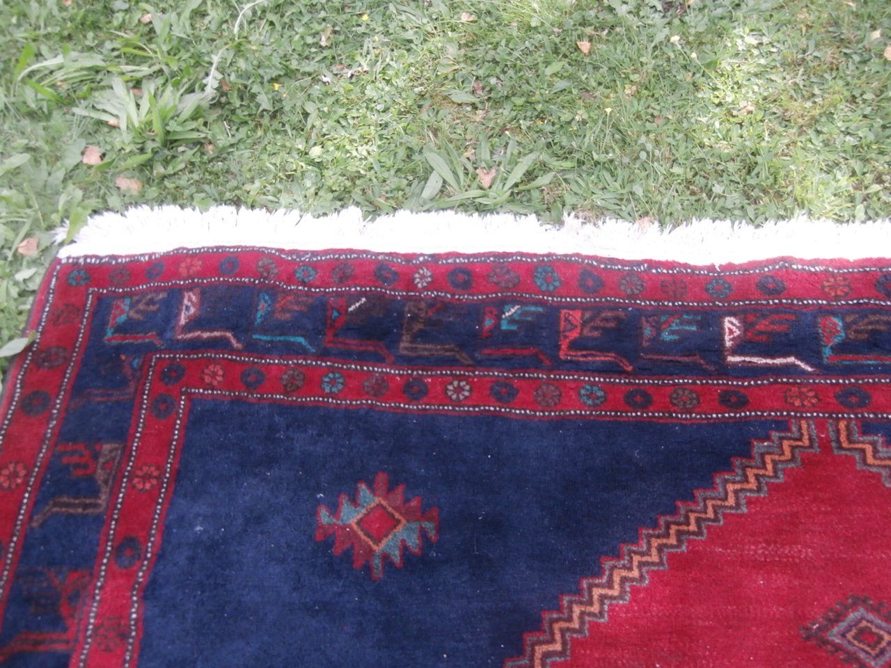 Tappeti: orientalischer Wollen Teppich 300 x 225 cm – Usato da Rüschegg-Heubach venduto da Ofen111 3