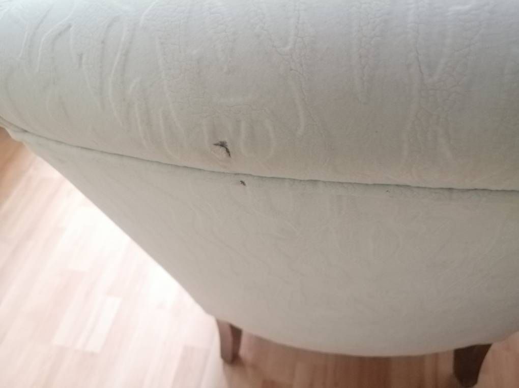Fauteuils: Polstersessel cremefarben – D'occasion à Köniz par Yeti34 2