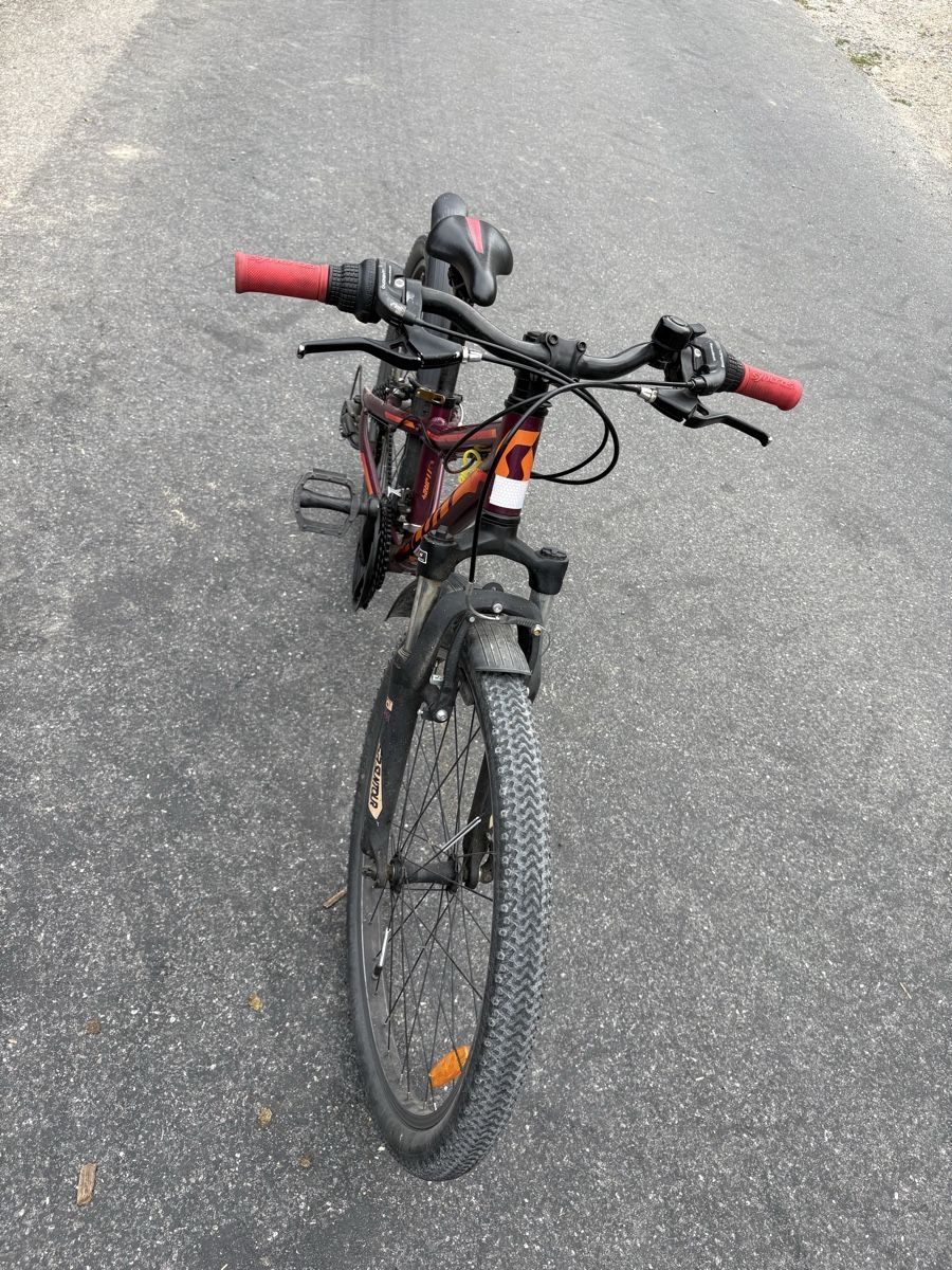 Scott Biciclette: Kindervelo Scott 24 Zoll – Usato da Oberburg venduto da Gerbi2 2