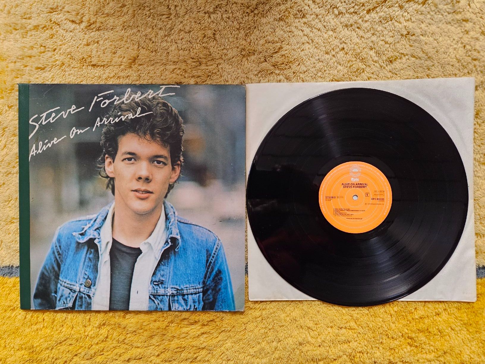 Dischi in vinile: Steve Forbert Schallplatte Lp - Alive on Arrival – Nuovo (secondo la descrizione) da Lyss venduto da Alexine