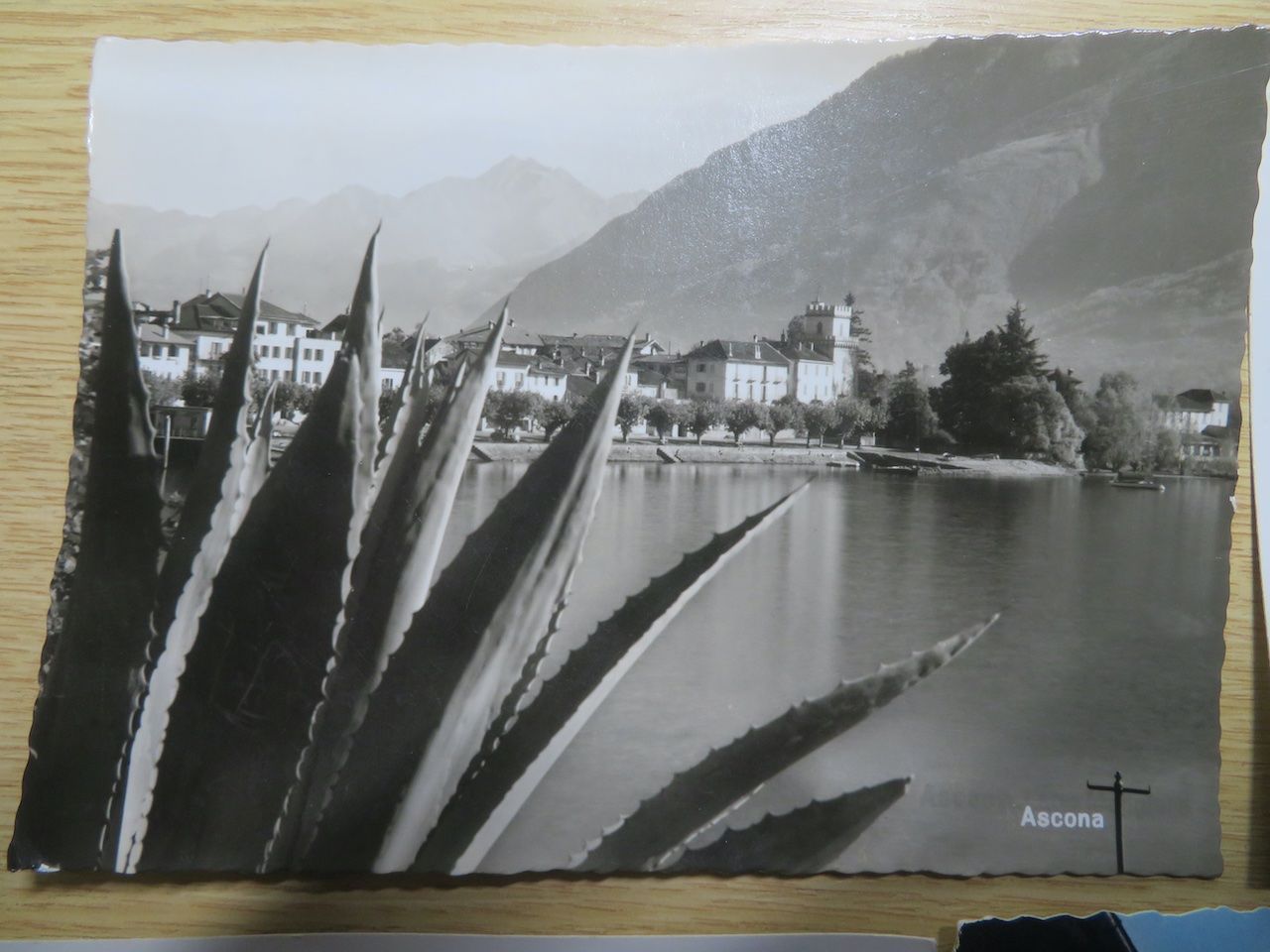 Cartoline postali: Ascona 5 Ansichtskarten gelaufen – Usato da Spreitenbach venduto da heitersberg54 1