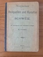 Fricker – Heilquellen & Kurorte Schweiz 1895 – Karte