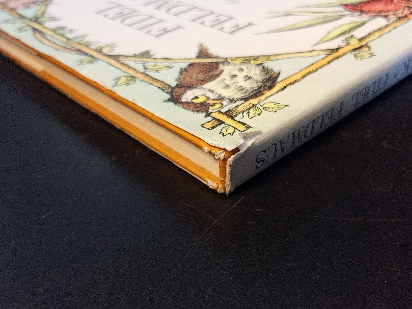 Libri: Fidel Feldmaus 1975 - Geschichte mit Bilder - Kinderbuch – Usato da Reiden venduto da Zofi-Brocki 4