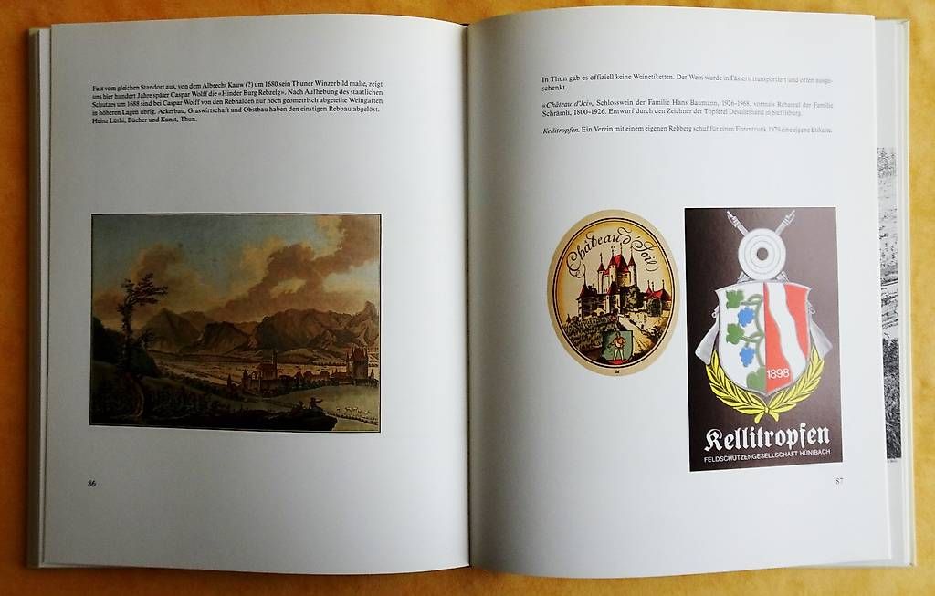 Libri: Thuner Reben - Thuner Wein – Usato da Bern venduto da janosh-08 4