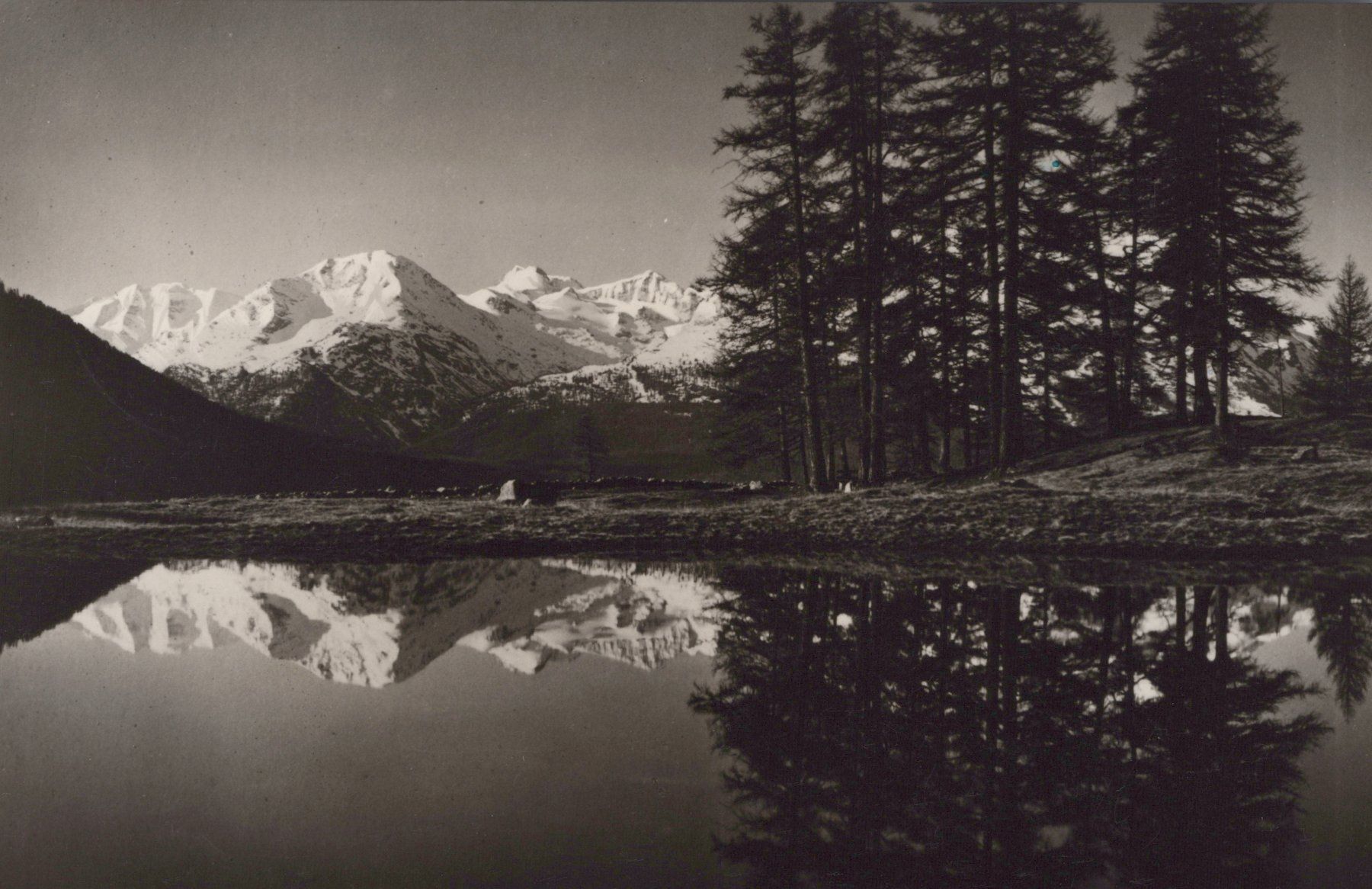 Cartoline postali: 0100 - Postkarte / Ansichtskarte - Samedan Bernina Gruppe – Usato da Reinach BL venduto da Boston-Verkauf