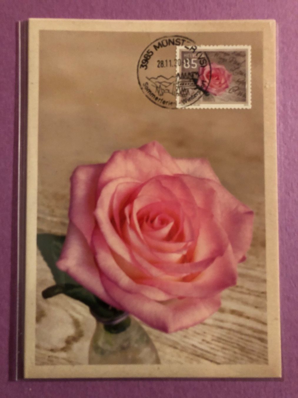 Tutti i francobolli: Maximumkarte Rose 2015 Stempel Münster – Usato da Fieschertal venduto da REZELL