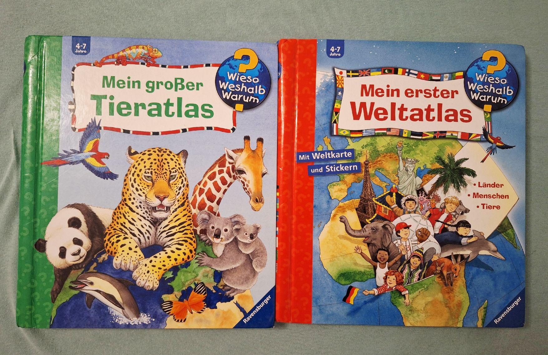 Libri: Wieso weshalb warum - 2 Bücher – Usato da Horw venduto da Karibea