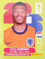 Panini FIFA World Cup NED 6