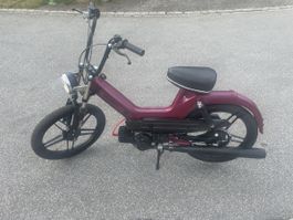 Puch Maxi S Matching Numbers mit Ausweis