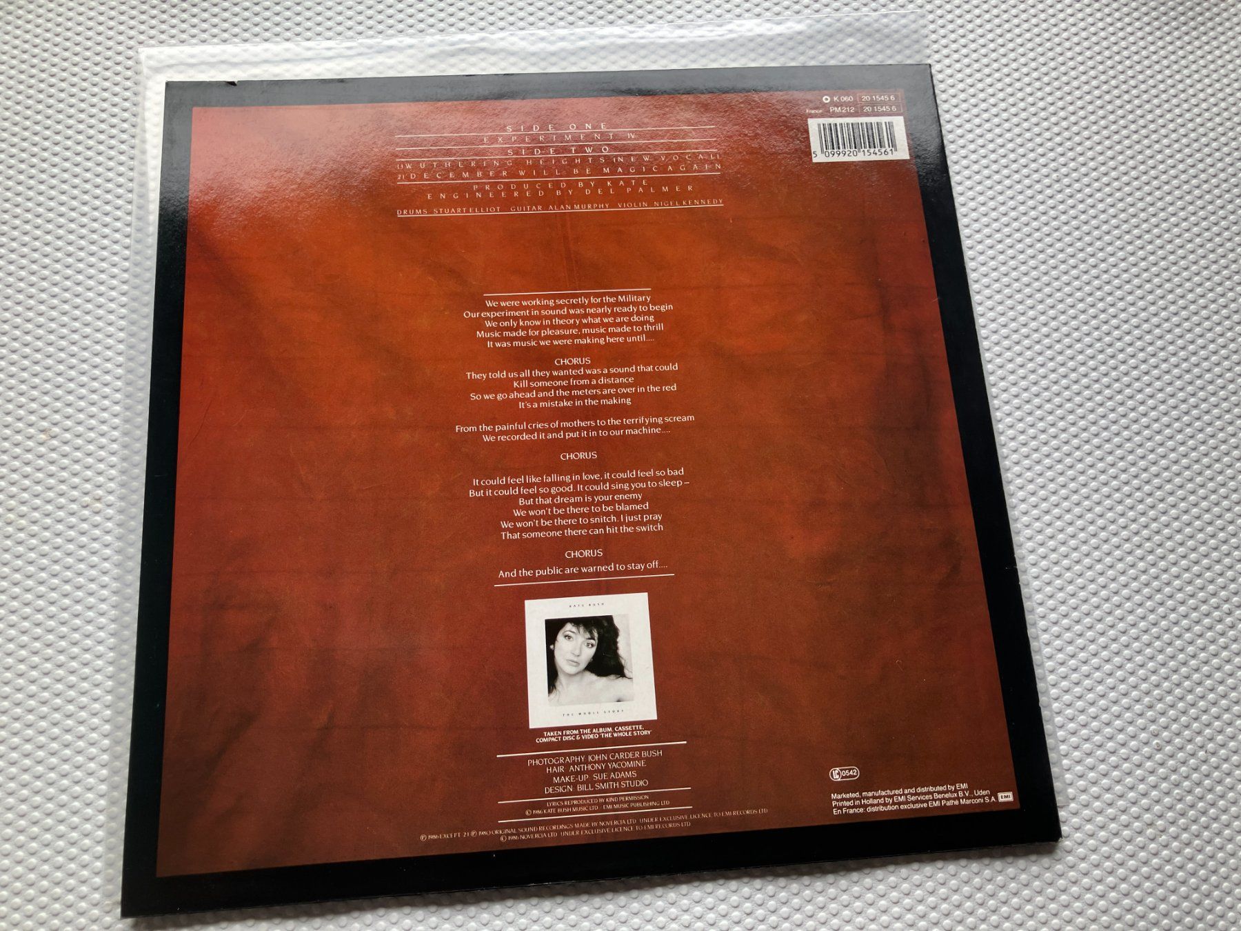 Dischi in vinile: Kate Bush – Usato da Aarwangen venduto da Jukebox3 2