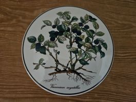 1 Dose Porzellan von Villeroy&Boch, Top Zustand