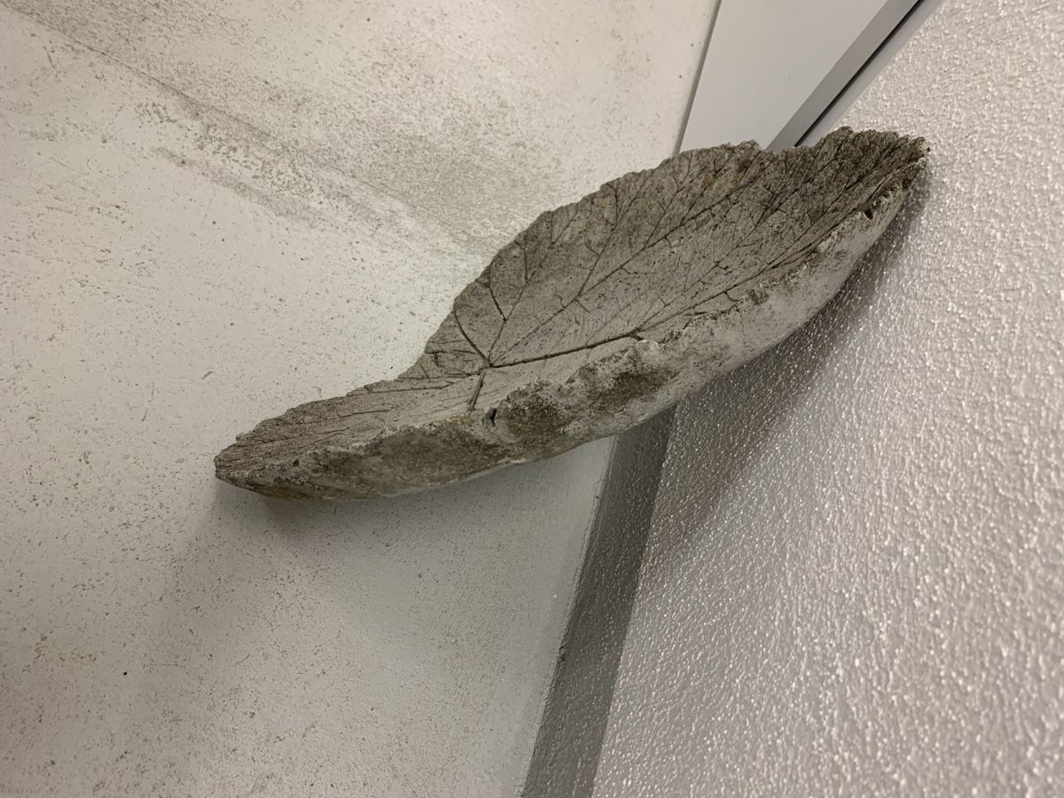 Tutte le decorazioni: Beton-Rhabarberblatt – Usato da Hettlingen venduto da Timba02 1