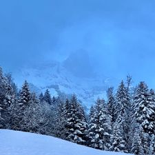 Profile image of Landliebe77