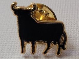 STIER
