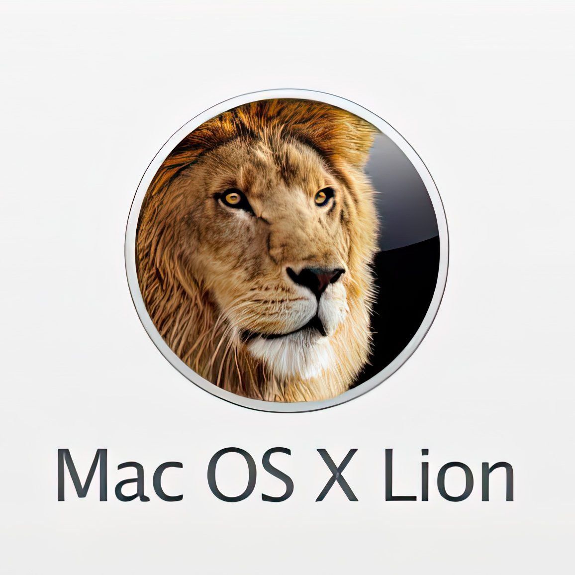 Apple Software: Apple OS X 10.7.5 Lion, Operating system, bootable USB-stick – Nuovo (secondo la descrizione) da Gerlafingen venduto da PC-Help-Zuchwil-GmbH