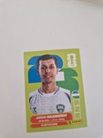 Panini Sticker UZB12