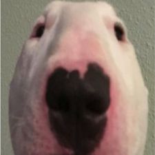 Profile image of luisa0706s