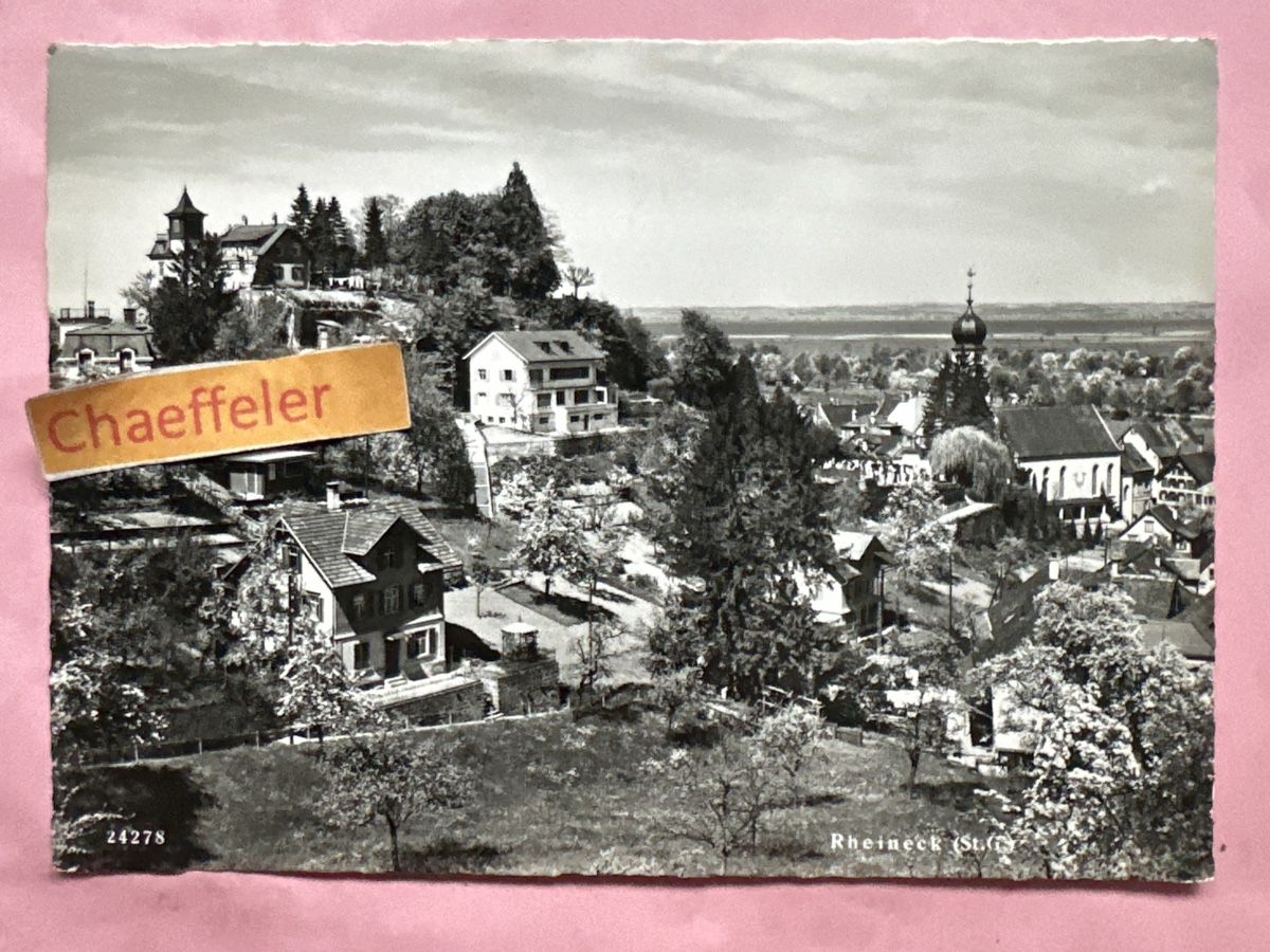 Cartoline postali: Rheineck (St. G.) – Usato da Zürich venduto da Chaeffeler