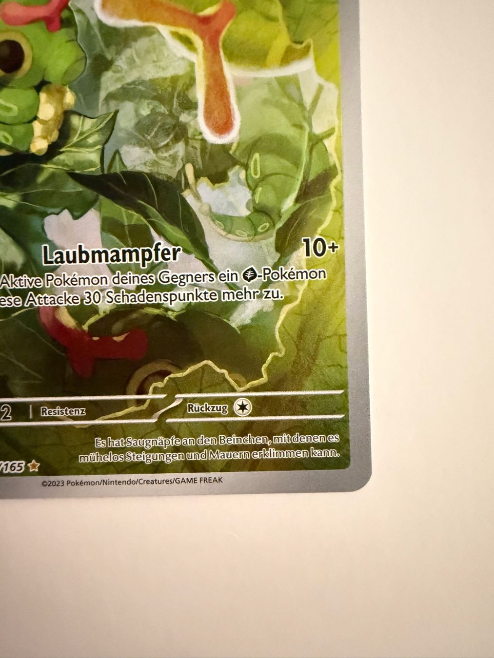 Pokémon Carte collezionabili: Raupy – Usato da Biel/Bienne venduto da SeeLoewe55 4