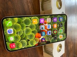 iPhone 12 Pro Max 256G
