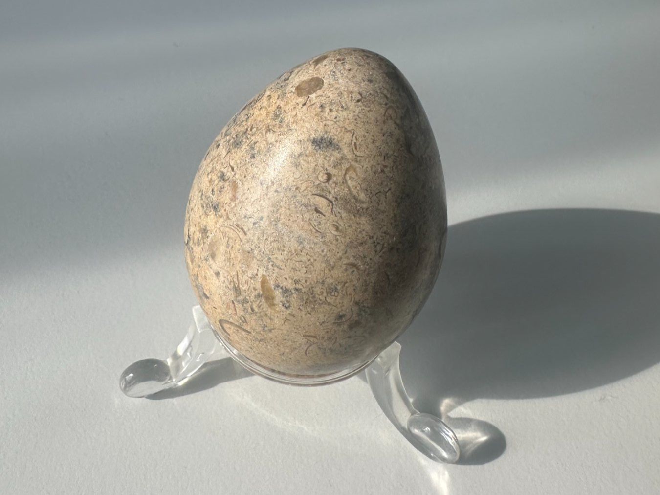 Pierres précieuses: Exquisite Sammlung von 10 Edelstein-Eiern & Mineralien – D'occasion à Meggen par HRB77 3