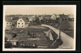 AK Erlenbach /ZH, Häuser und Eisenbahn
