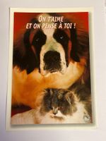 Carte postale - vintage "On t'aime" chien et chat