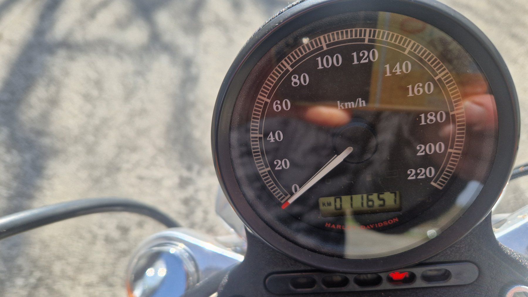 Harley-Davidson Chopper: Harley-Davidson XL883L – Usato da Neuenkirch venduto da Wickif 3