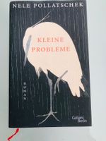 📖 Bestseller «Kleine Probleme» Nele Pollatschek (NP CHF 34)