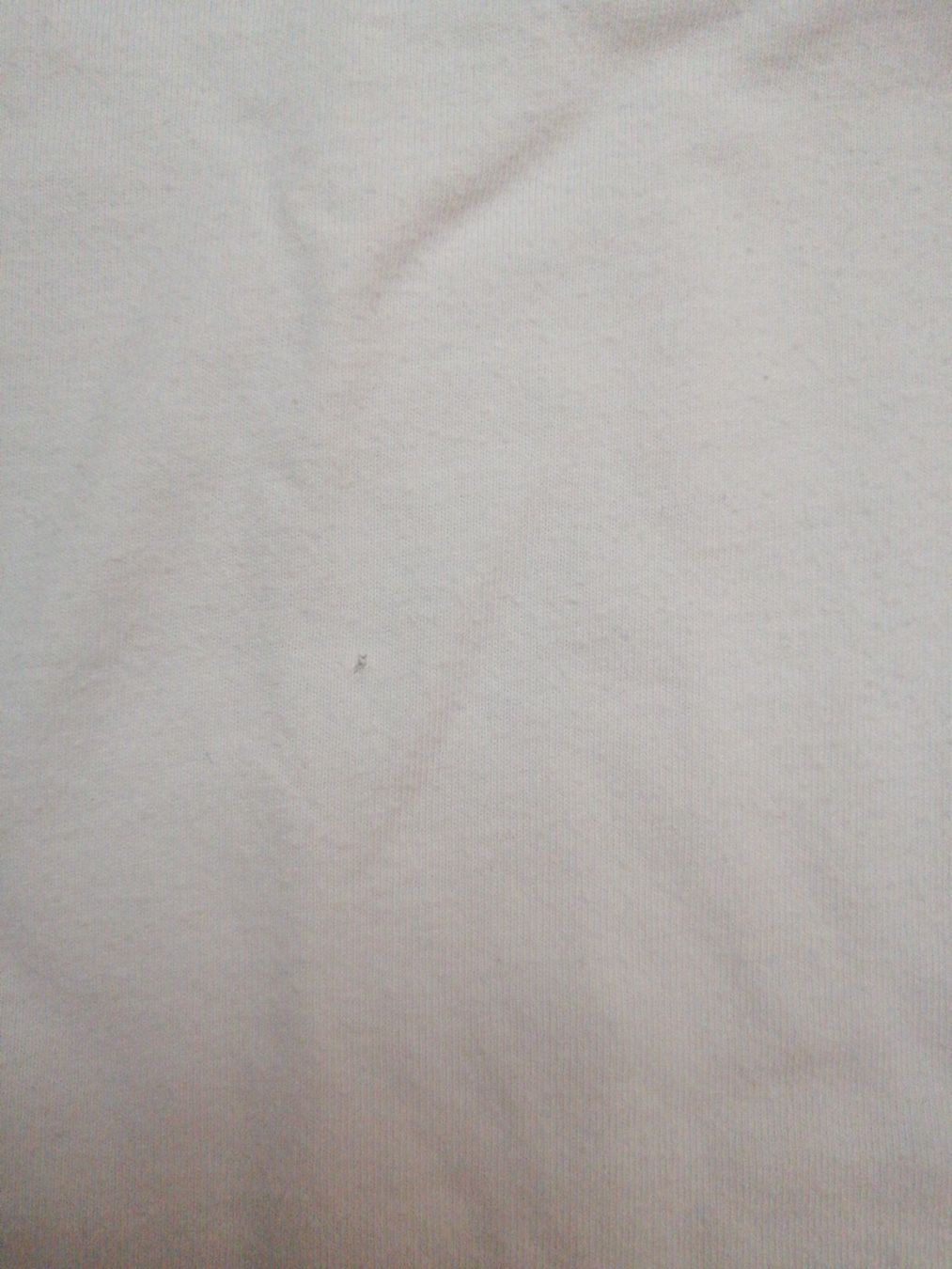 Altre raccolte & rarità: 2 Calvin Klein T-Shirts – Usato da Wettingen venduto da rigipilatus 2