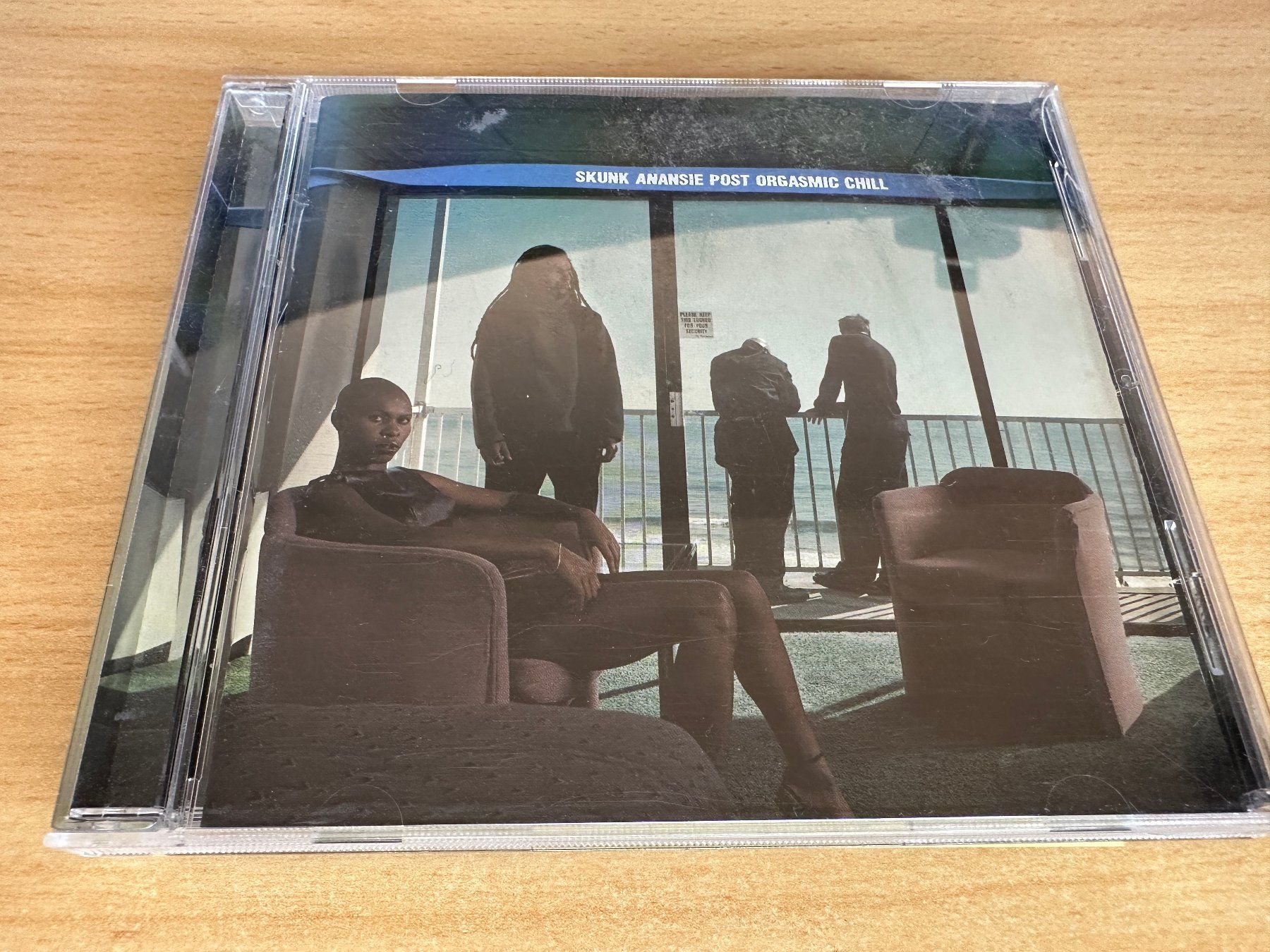 CD: Skunk Anansie – Post Orgasmic Chill – Usato da Rikon im Tösstal venduto da Alpenmutz