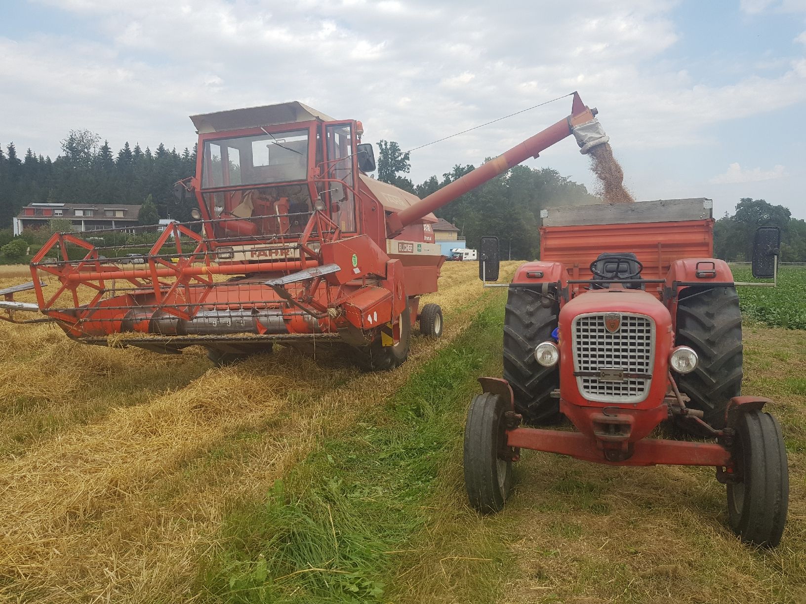 Tutte le macchine: Mähdrescher Fahr 1302 – Usato da Wohlen b. Bern venduto da Polizmatt 1