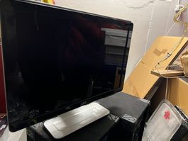 HP LCD Monitor 24 Zoll mit Standfuss schwarz
