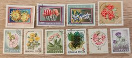 10 ungarische Blumenbriefmarken timbres Fleur Magyar francob