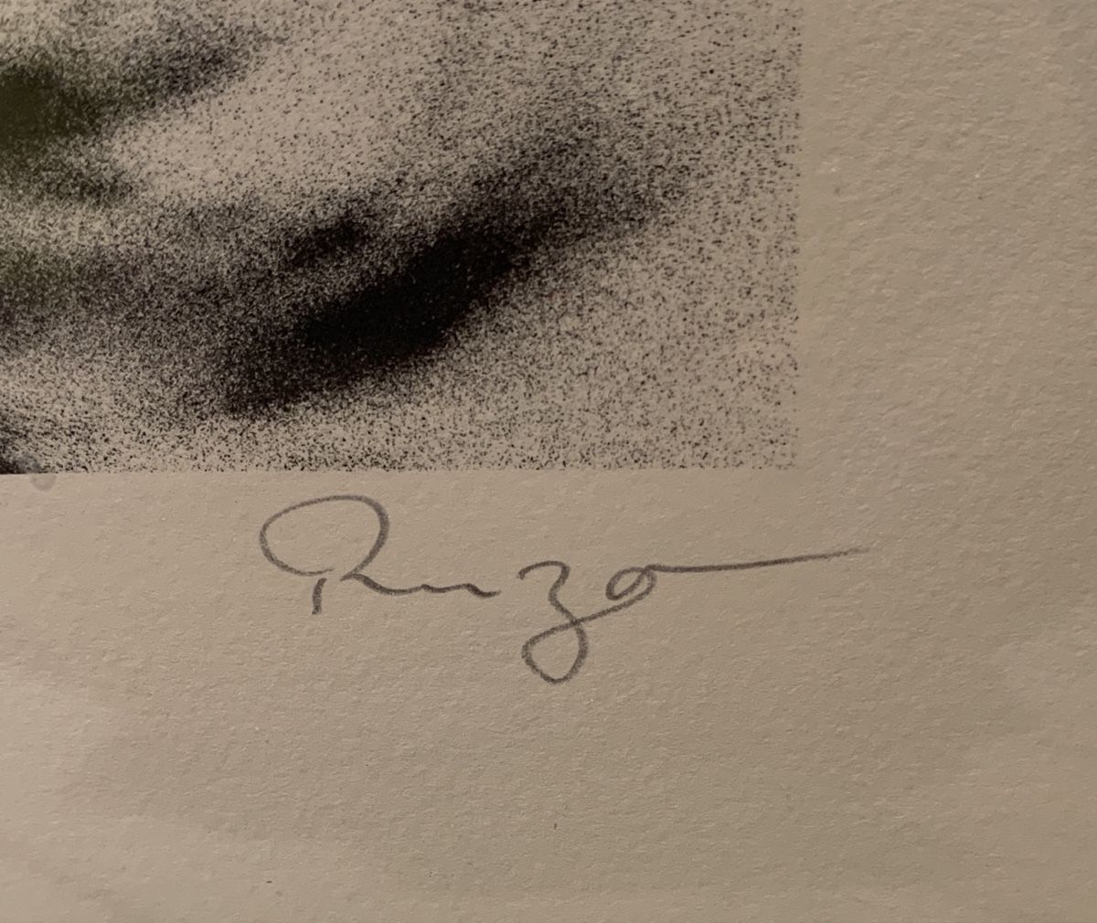 Stiche: Gravure sur pierre de viktor ruzo – Gebraucht aus Veytaux von Latourelle 1