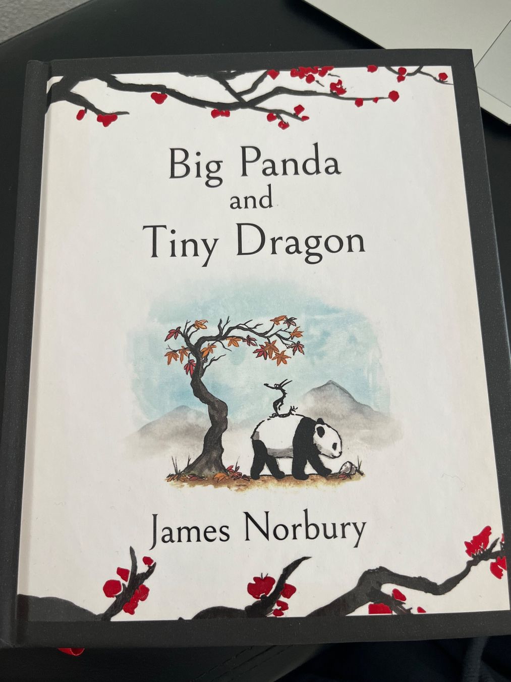 Libri: Buch Big Panda and Tiny Dragon – Usato da Zürich venduto da Joellita25